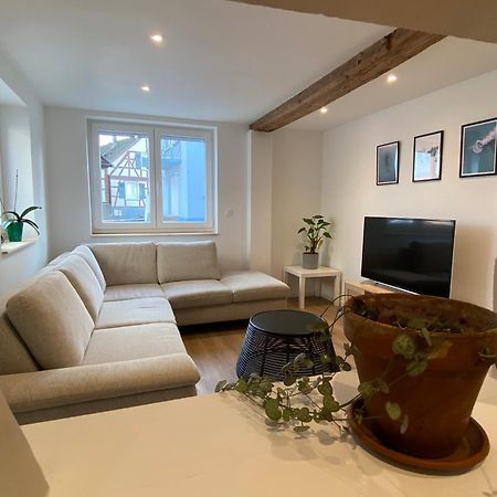 Appartement Confortable Soufflenheim Екстер'єр фото
